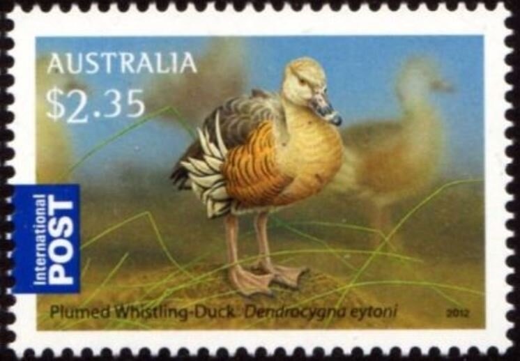 Cobourg Peninsula Wetland, Northern Territory