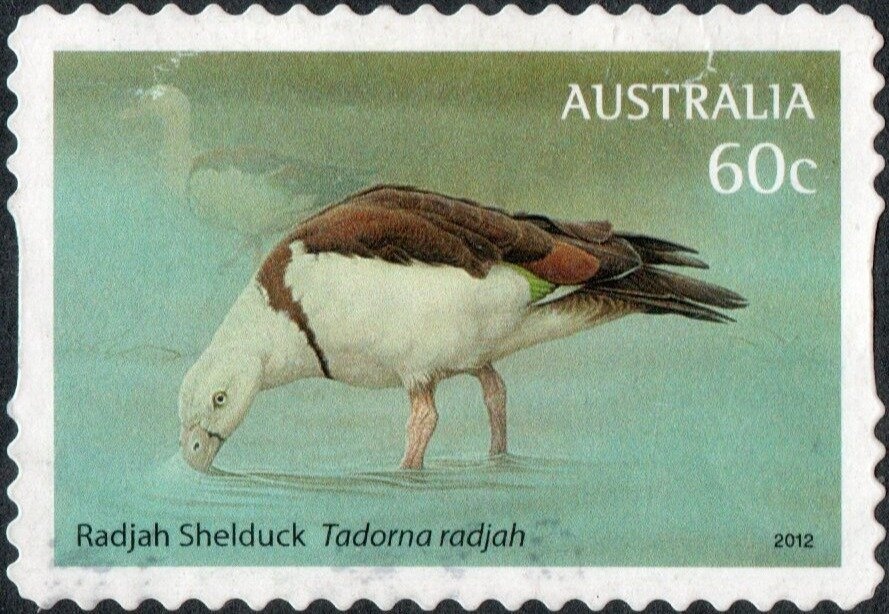 Parkes Radio Telescope, Parkes, NSW