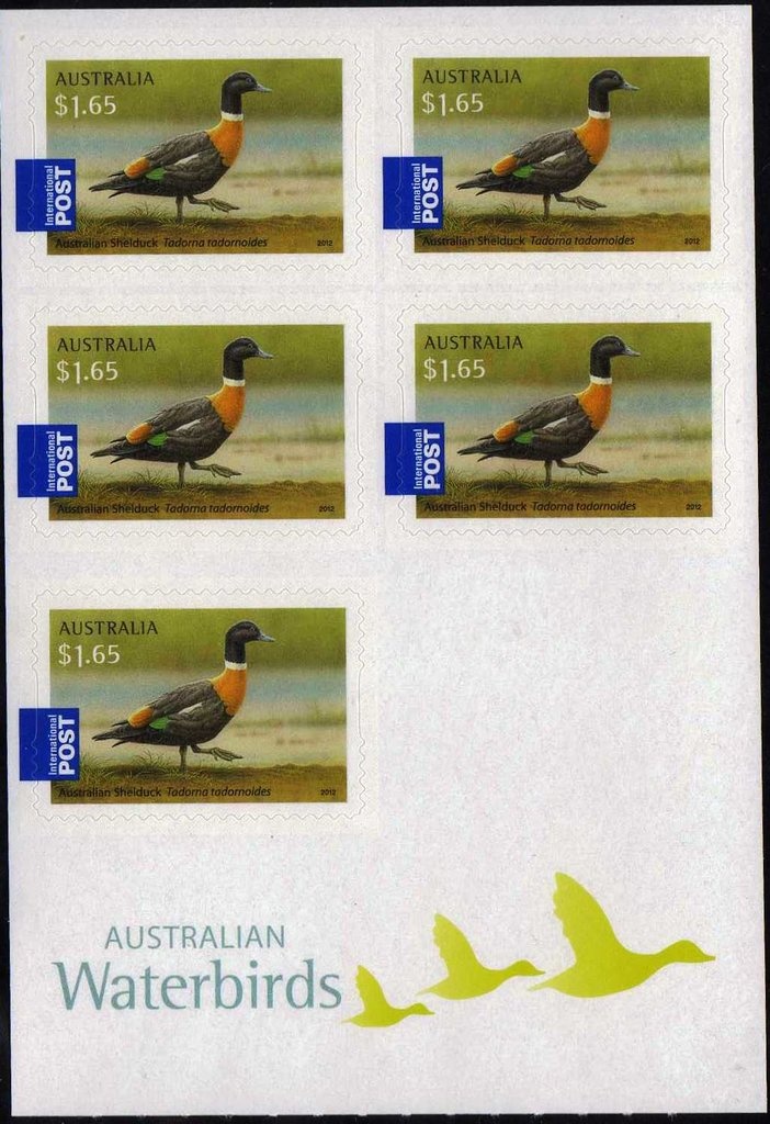 Rugby League Australia (13-16)