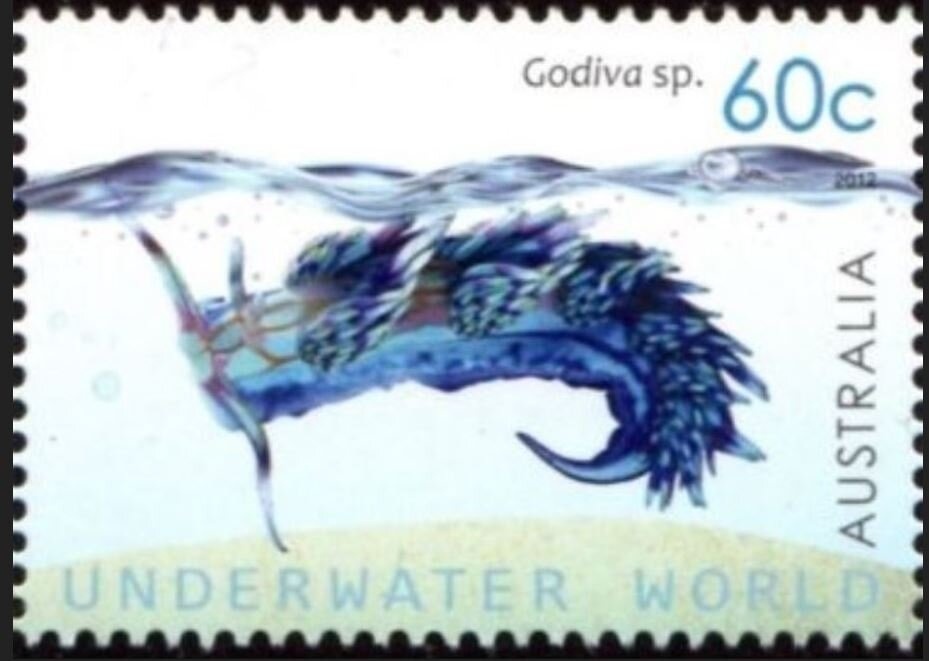 Spectacled Flying-fox (Pteropus conspicillatus)