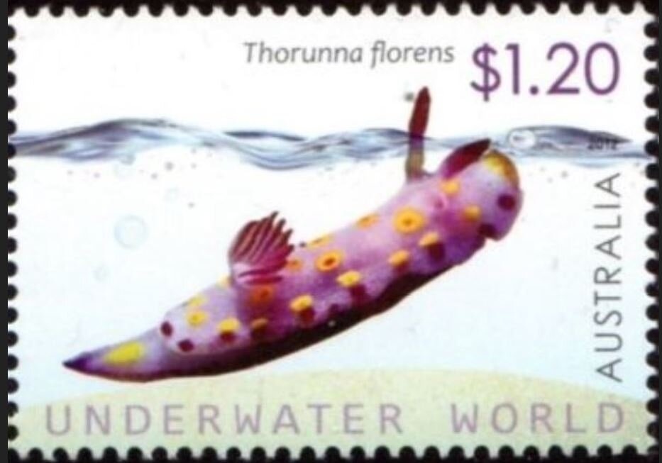 Women's 4 x 100 Medley Relay