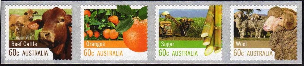 Coarse-Leaved Mallee (Eucalyptus grossa)