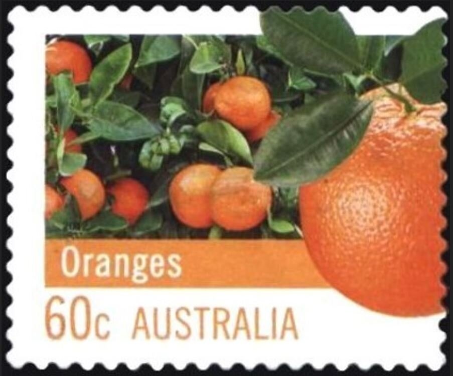 Sir John Carew Eccles, 1963