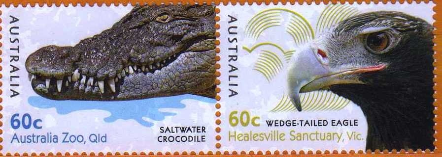 Wildflowers vertical