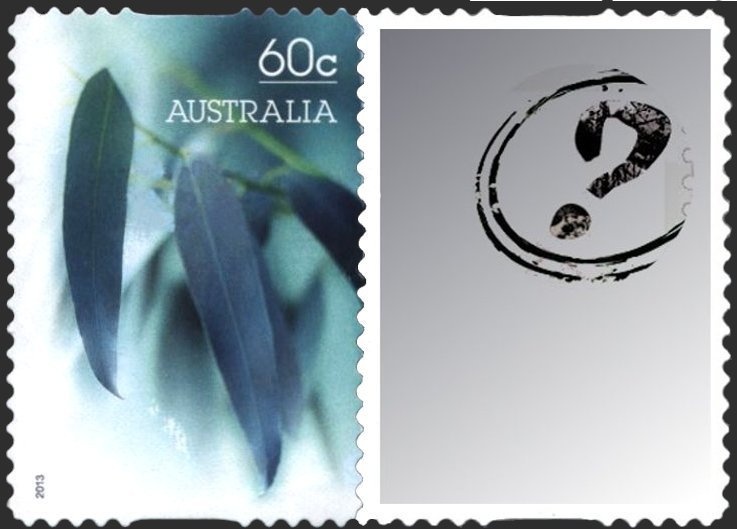 Cocos Islands Green Turtle (Chelonia mydas)