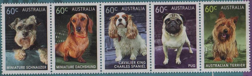 Rising Sun Badge, 1991-