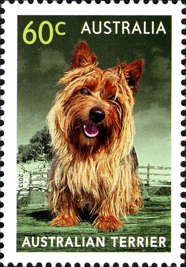 Calandrinia creethae