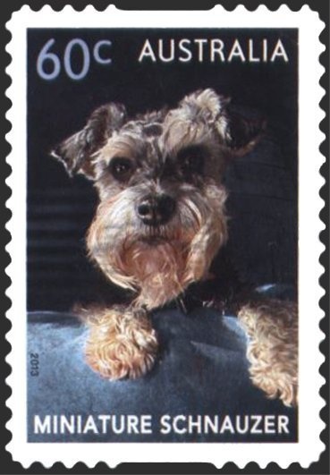 Grose River Gorge, NSW