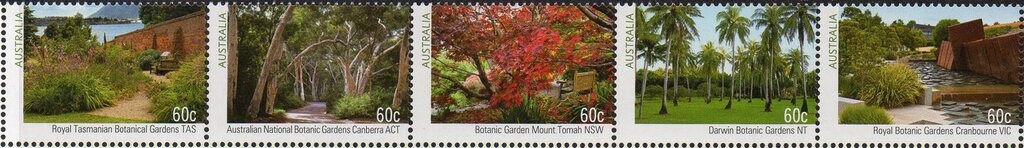 Peter Carey (Black/white photograph)