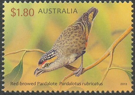 Lemon-Scented Gum Tree (printed on wood)