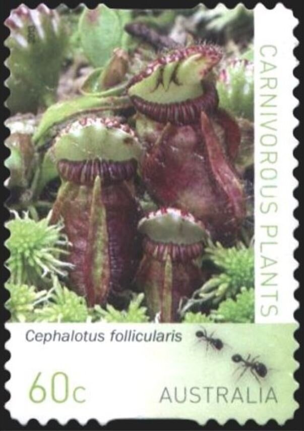 Women's 4 x 100 Medley Relay