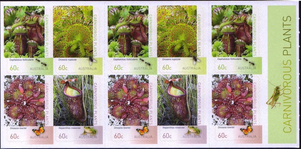 Stephanie Rice Women's 200m Individual Medley