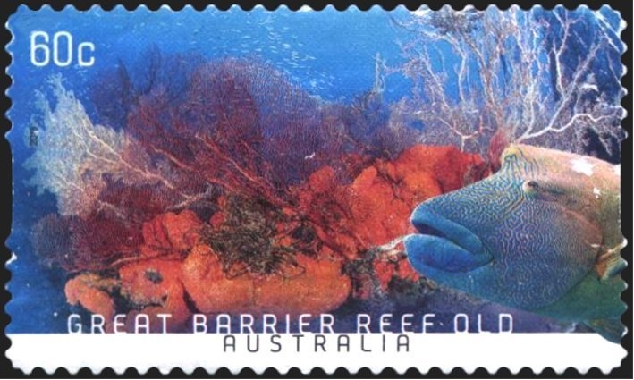 Rytidosperma clelandii seed