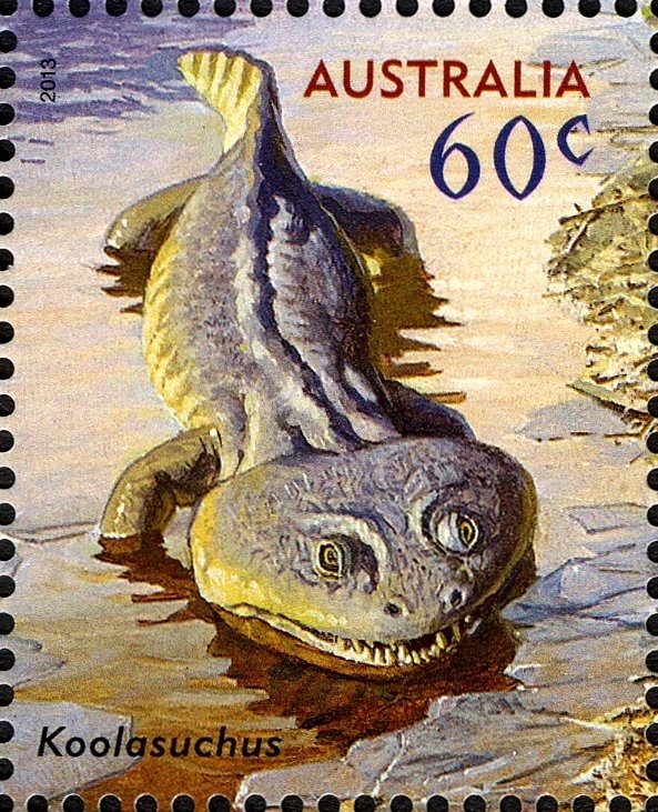 Lemon Aspen (Acronychia acidula)