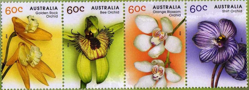 Queen Elizabeth II in 2019