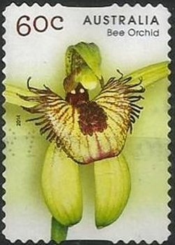 Jingle Bells and Glad Tidings