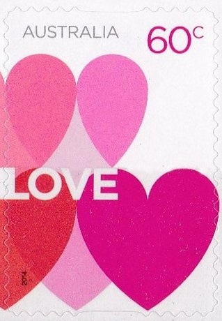 Tecticornia verrucosa