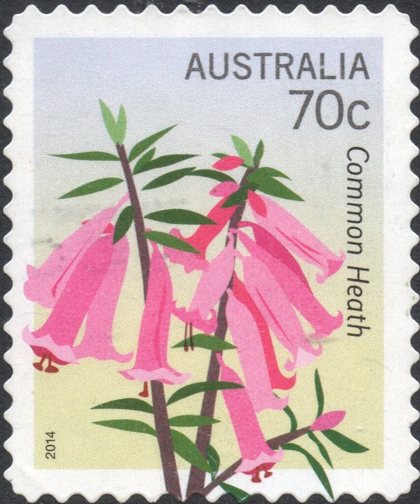 Holey Dollars with Foil