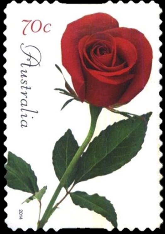 Anna Meares Velodrome, Brisbane, Queensland