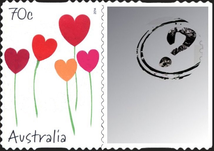 Laughing Kookaburra (Dacelo novaeguineae) - New South Wales