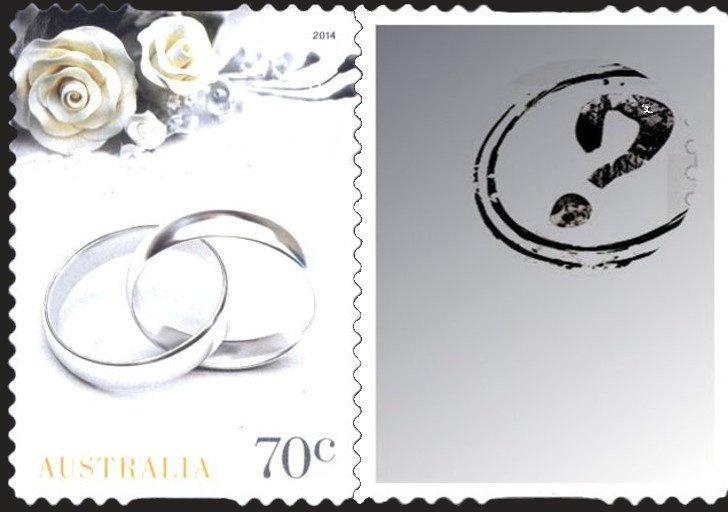 Shirt Orchid (Thelymitra campanulata)