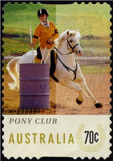 Jewel Beetle (Castiarina klugii)