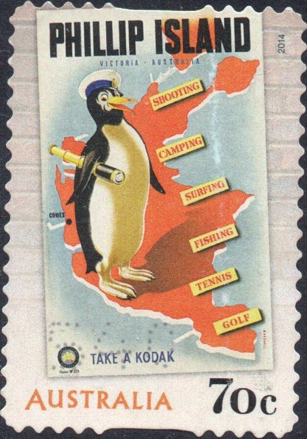 Tasmanian Blue Gum (Eucaluptus globulus)