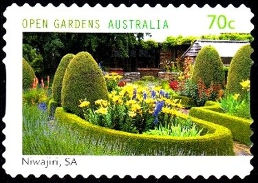 2020 Holden ZB Commodore