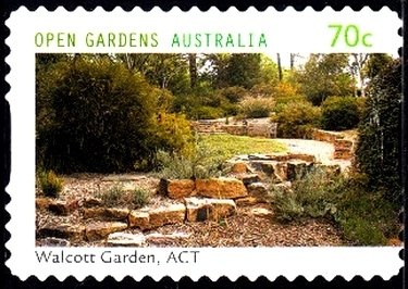 Netball World Cup, Sydney, 2015