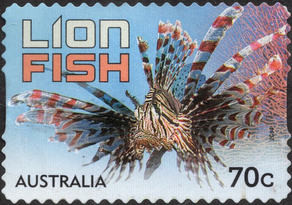 Children on Beach, 1950's