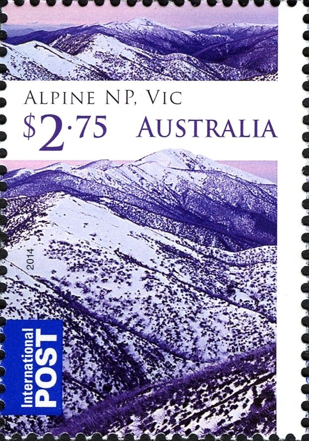 Greater Blue-ringed Octopus (Hapalochlaena lunulata)