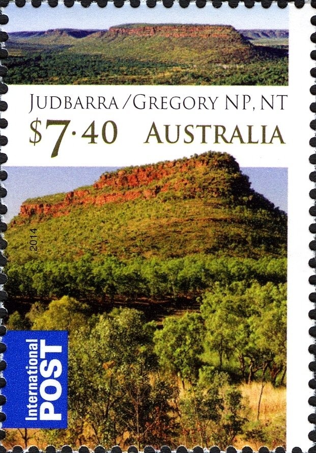 Ocellated Wart Slug (Phyllidia ocellata)