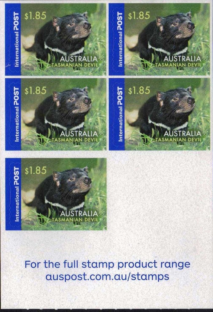 Resin Bee (Megachile macleayi)