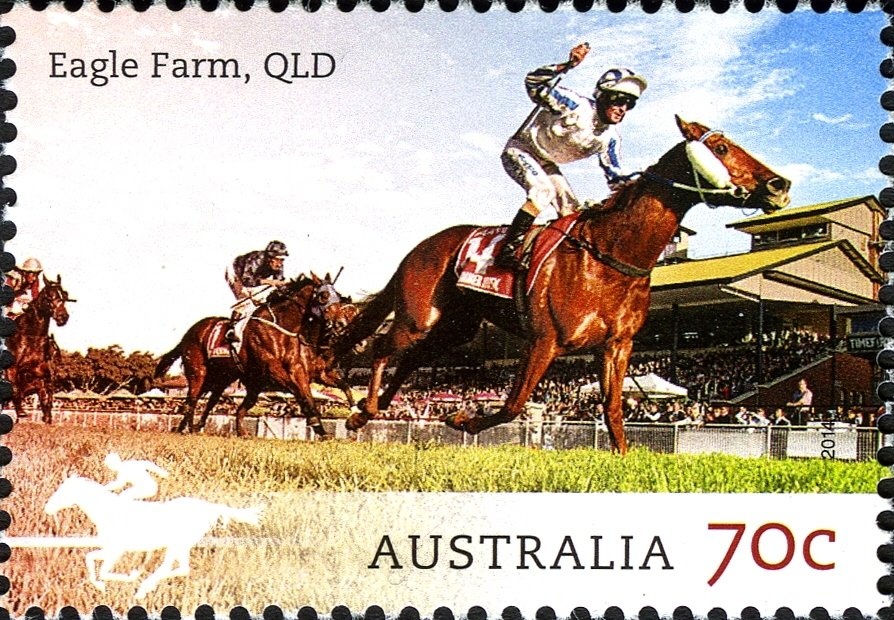 Rufous Owl (Ninox rufa)