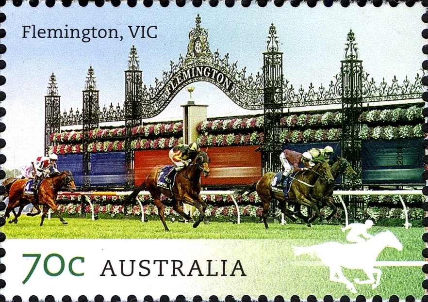 Little Penguin (Eudyptula minor)