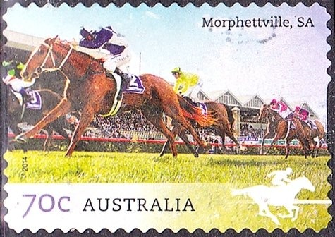 Kookaburra Postcard for Air Force