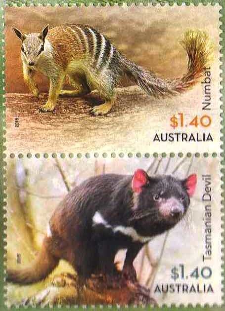 Cross-country - Emma Scott, Australia on Mustang