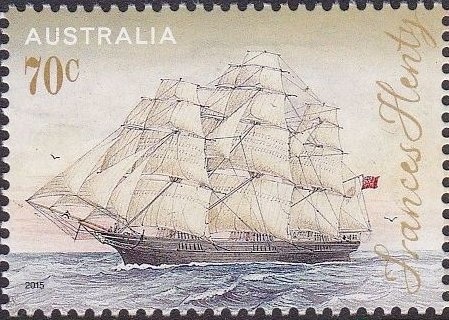 Brown and White Border Collie