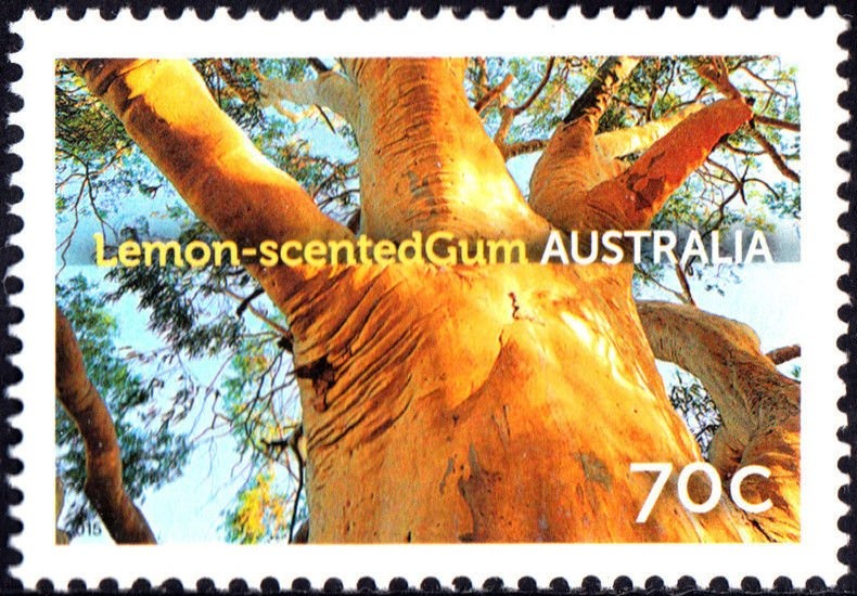 Queen Elizabeth II - Official Diamond Jubilee Portrait