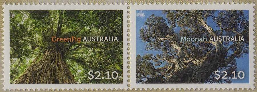 Short-beaked Echidna (Tachyglossus aculeatus)