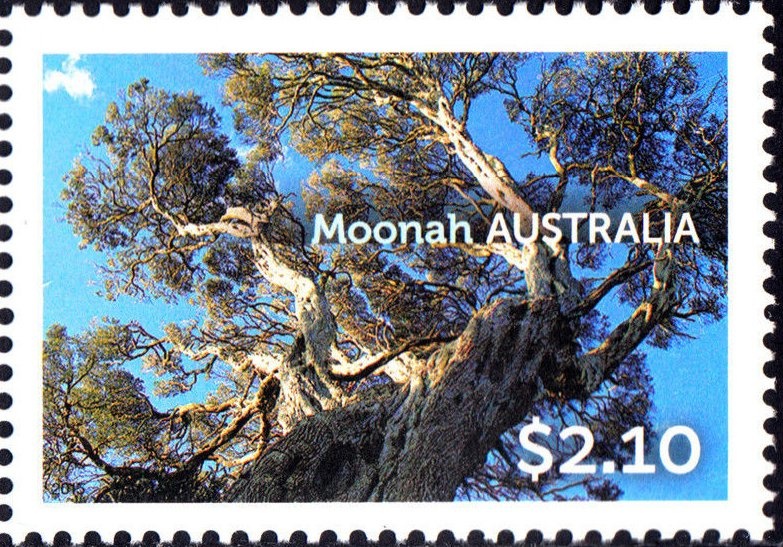 Purnululu and Kakadu National Park