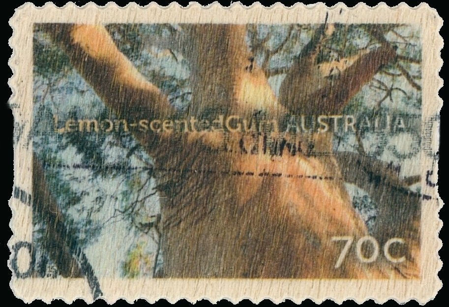 Vintage Jam Labels - Melray