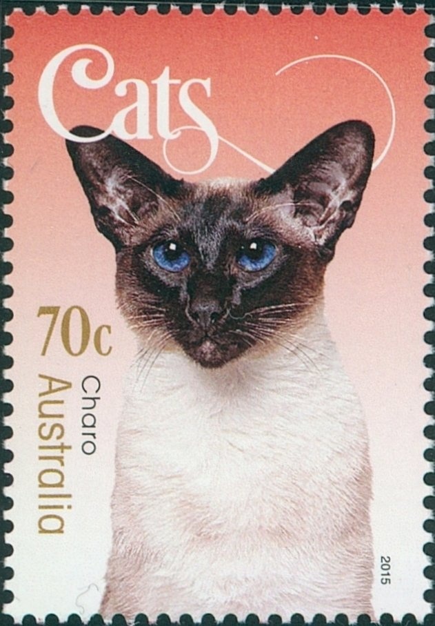 AAMI Park, Melbourne