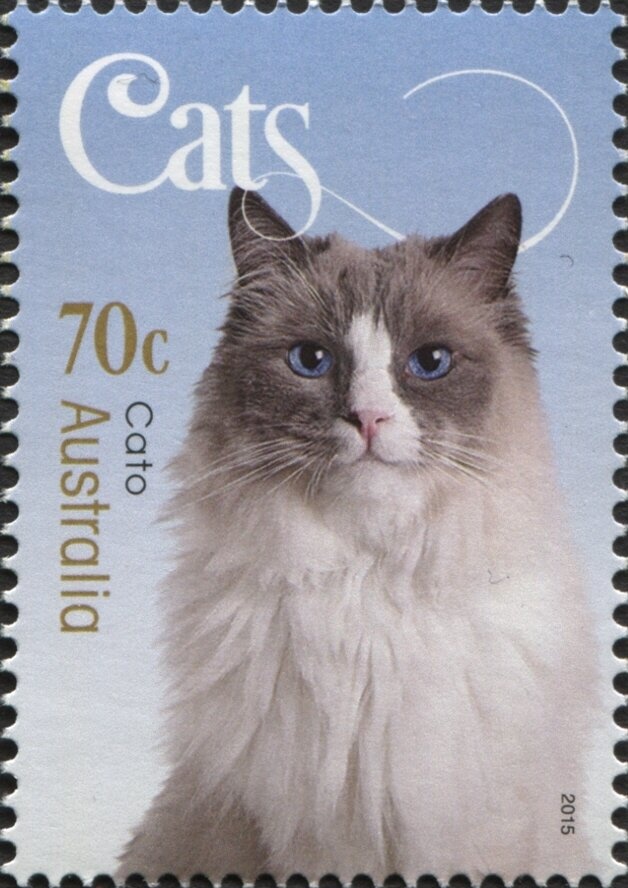 Christmas Stocking 2009