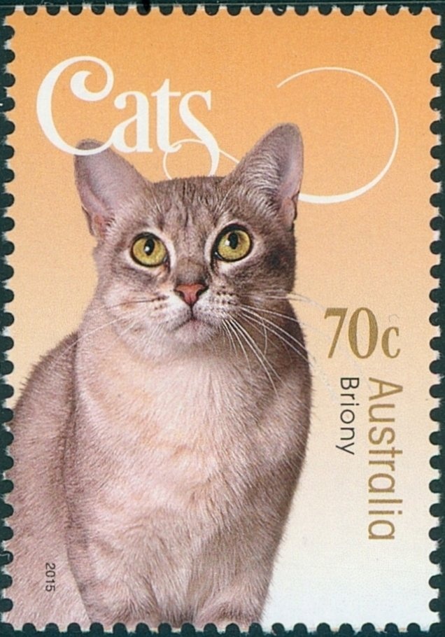 Cape to Cape Track, WA