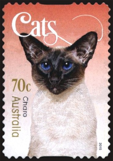 Madison de Rozario, Women's Long Distance Wheelchair Racing