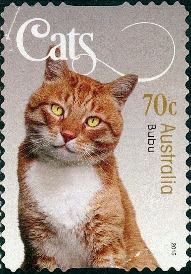 W-class Tram, Melbourne