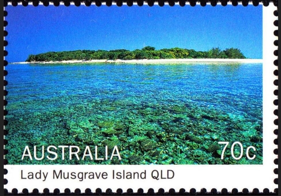 Calandrinia creethae