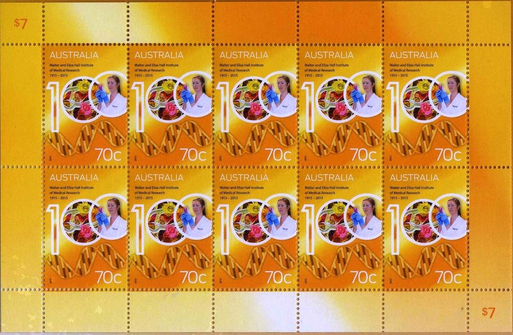 Work by Lucy Malirrimurruwuy