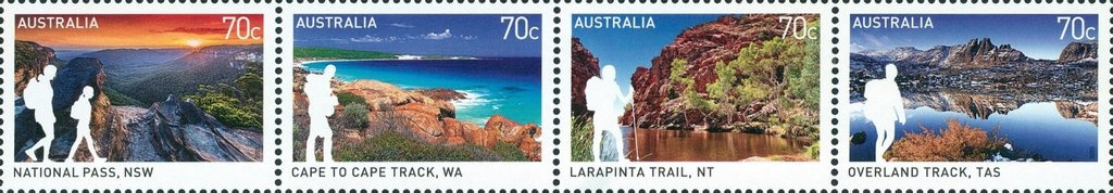 Cinnamon Wattle (Acacia leprosa var Scarlet Blaze)